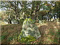 NH6842 : Druid Temple Chambered Cairn and Stone Circle by valenta