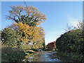 Little utilised road at Southgate, Cawston