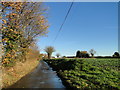 TG1423 : Perrys Lane near Perrys Lane Farm, Cawston by Adrian S Pye