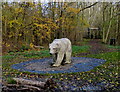 Polar bear at the Watermead Country Park