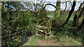 Footbridge over Coal Brook, SW of Hales