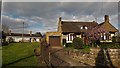 Contrasting bungalow styles in Church Lane, Slapton