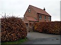 Beech hedges and gateway to Skyers Farm