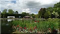 Burnby Hall Gardens, Pocklington - Tulips & lake