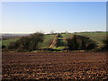 Field boundaries near Netherfield Farm