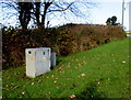 Department for Transport cabinet in the south of Bettws