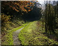 Grantham Canal towpath at Blue Hill