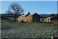 Farm off Swale Hall Lane