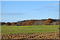 Farmland and woodland