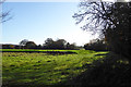 Field near Lower Farm