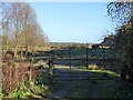 Gated track down to Shotley Marshes