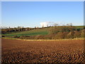 View towards Netherfield Farm