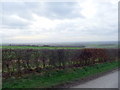 SE8646 : Fields near Londesborough by David Brown