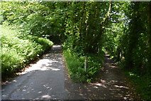 SX4349 : Footpath junction, South West Coast Path by N Chadwick