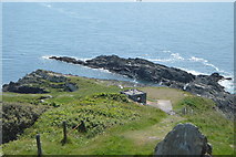 SX4448 : Penlee Point by N Chadwick