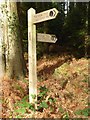 Signpost on the Wye Valley Walk