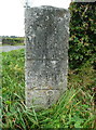 One face of a guide stone near Sorn