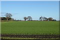 Farmland near Bickerton Spring