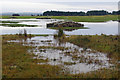 Flooded golf course, Dornoch