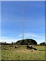 NZ1847 : The T V mast at Burnhope by Robert Graham