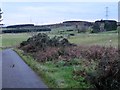 Downhill to Rumbleyond Burn