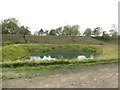 Pond at Damdykes