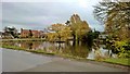 Pond, Westmoorside