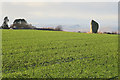 Approaching the Standing Stone