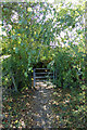 Footpath to the A1120 Badingham Road