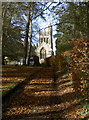 A leafy path to St Mary and St Edward