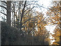 Old style telegraph pole, Welwyn