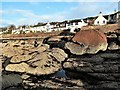 Ferry Row - Fairlie