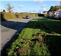 Molehills at the edge of Old Abergavenny Road near Raglan