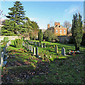 In Trumpington churchyard