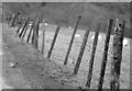 SH7661 : Ffens ar ogwydd / A leaning fence by Ceri Thomas