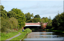 SK0419 : Trent and Mersey Canal north of Rugeley, Staffordshire by Roger  D Kidd