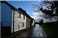 Mid Devon : Country Lane