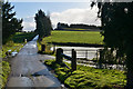 SS8012 : Mid Devon : Country Lane by Lewis Clarke