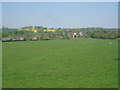 NY9169 : Grass field at Low Brunton by Jonathan Thacker