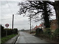 TG0225 : Guist Road, Bexfield on a damp morning by Adrian S Pye