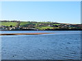 Teign Estuary Near Shaldon