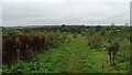 On the National Forest Way , S of Packington, Leics