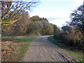 Track, Layer Breton Heath