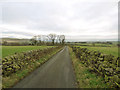 Bridleway below Whitecroft