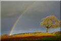 Mid Devon : Grassy Field