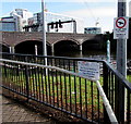 DO NOT FEED THE BIRDS, Taffs Mead Embankment, Cardiff