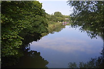 SP4809 : River Thames by N Chadwick