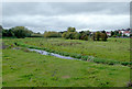 The River Sow near Kingston Hill, Stafford