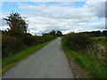 Along the lane near Craig-y-dduallt