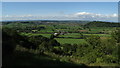 View to Redland Farm & Dundon Beacon from Gilling Down, Polden Hills